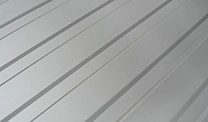 RAL 9006