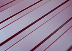 RAL 3005