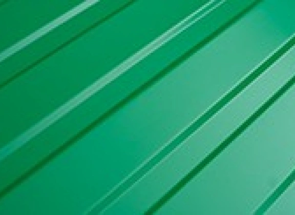 RAL 6029